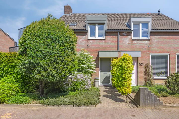 Foto 27 van In de Molt 99