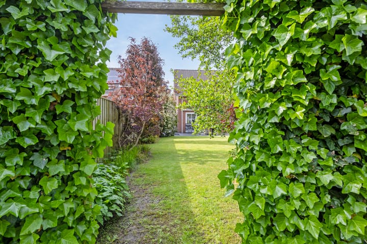 Foto 55 van Strausslaan 22