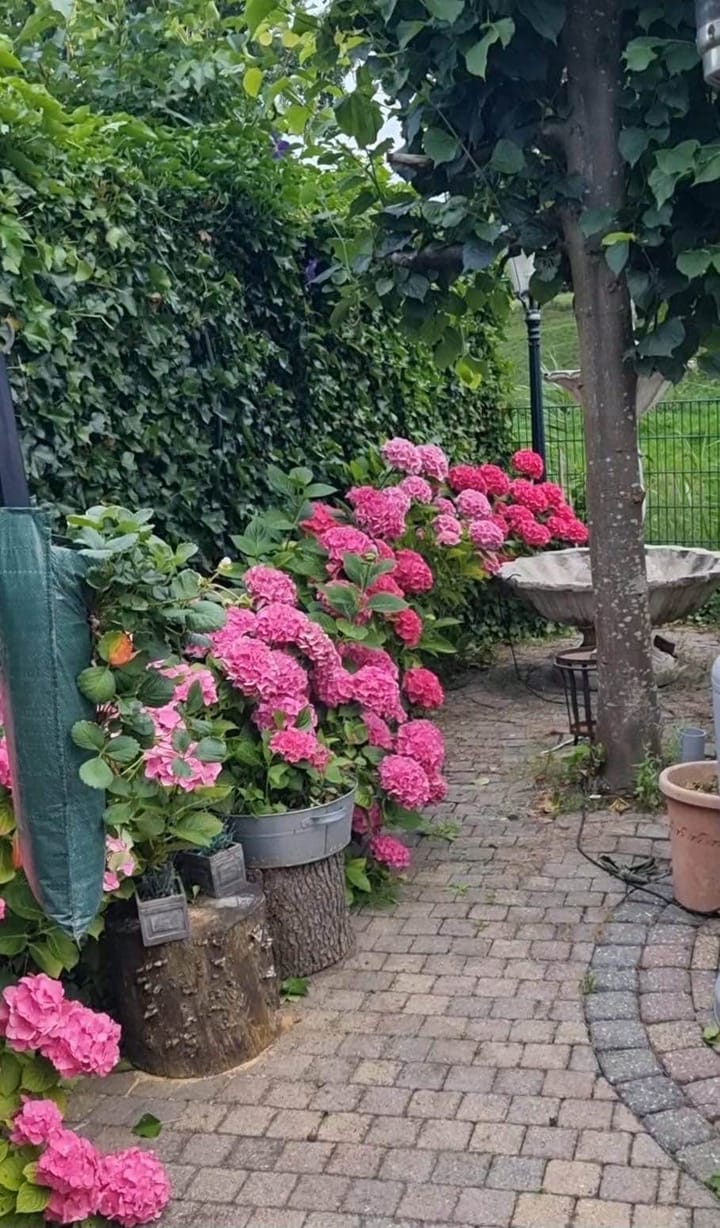 Foto 29 van Van Riedevliet 48