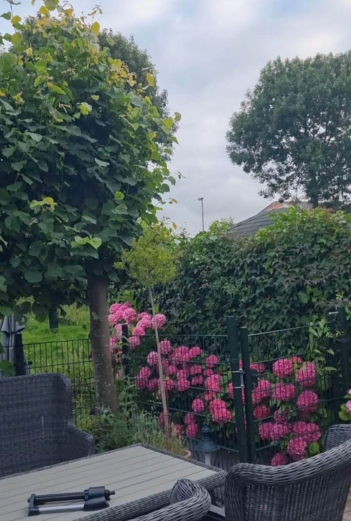 Foto 30 van Van Riedevliet 48