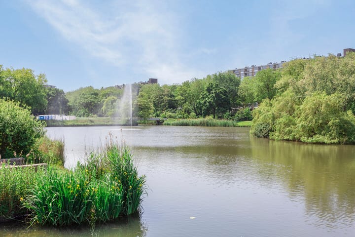 Foto 21 van Aziëlaan 342