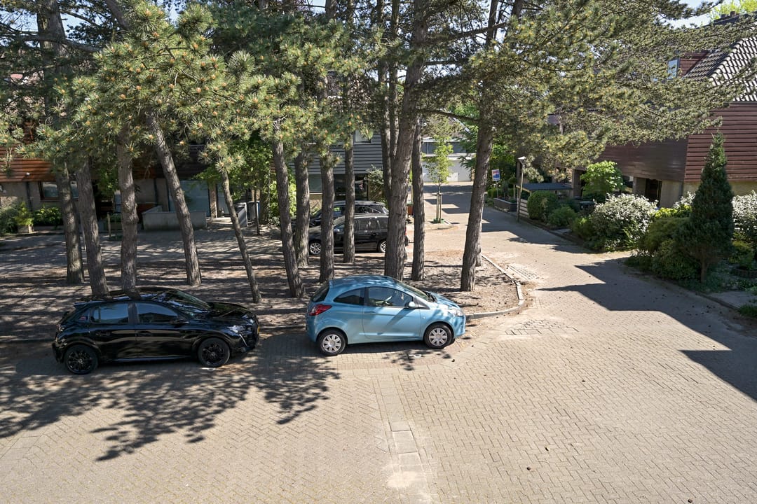 Photo 11 of Dahliahof 4