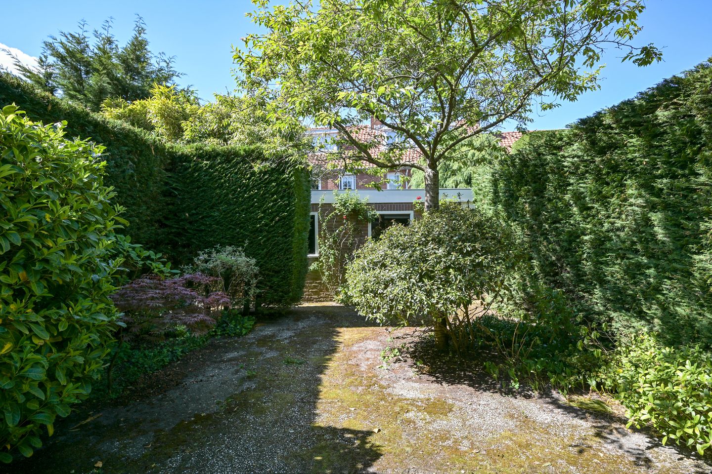 Photo 20 of Dahliahof 4