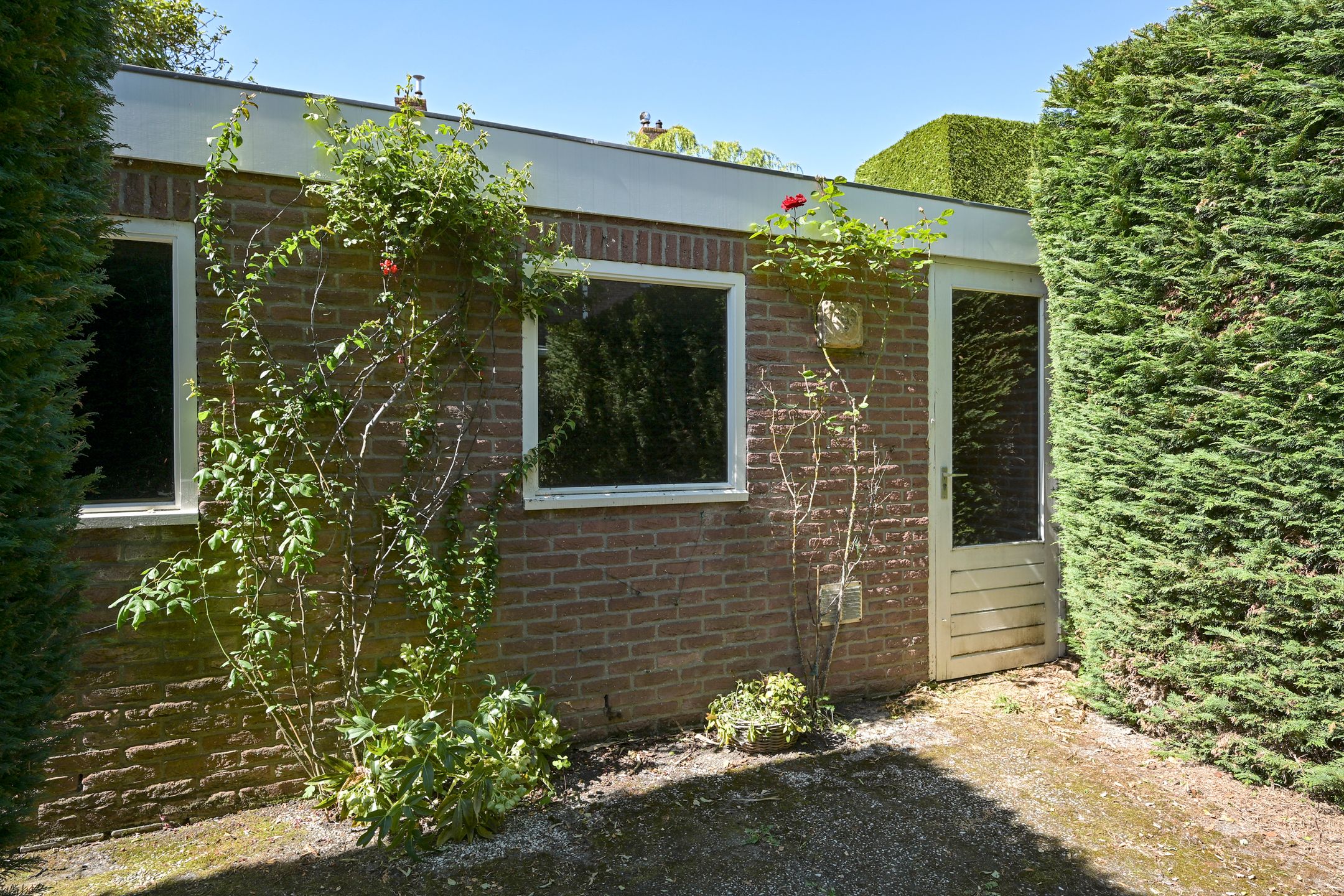 Photo 21 of Dahliahof 4