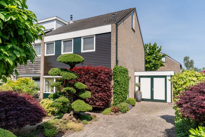 Foto 1 van De Mute 6