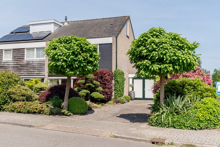 Foto 2 van De Mute 6