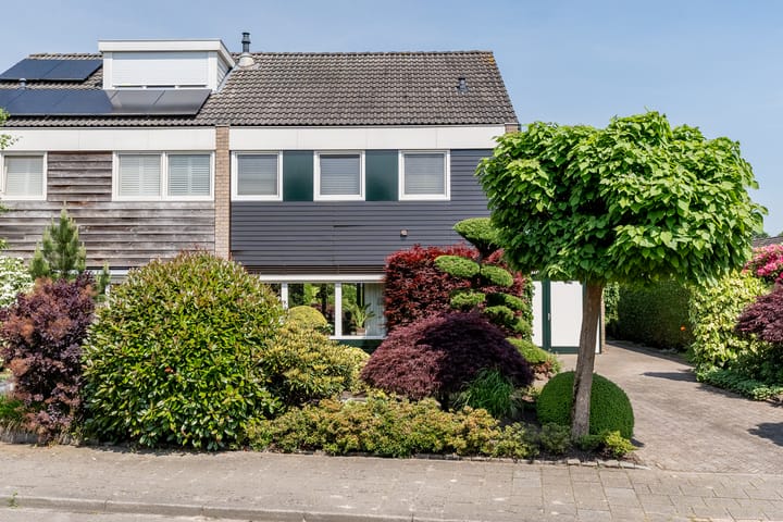 Foto 3 van De Mute 6