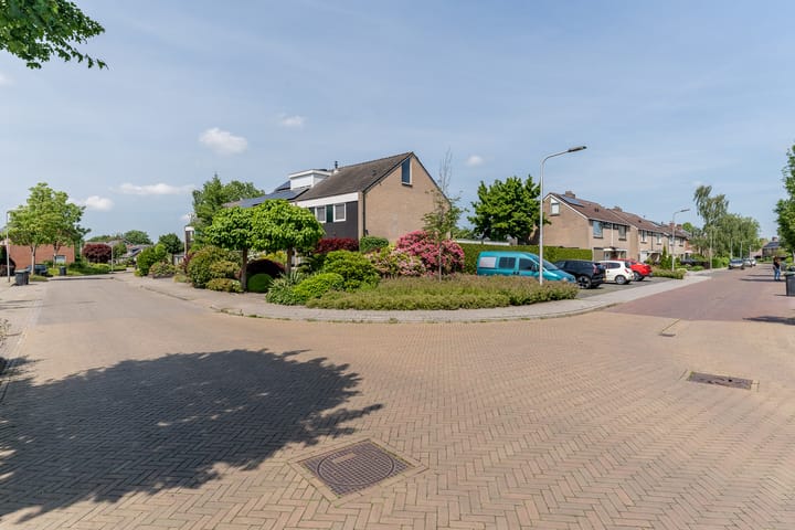 Foto 4 van De Mute 6