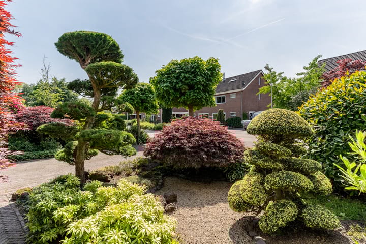 Foto 5 van De Mute 6