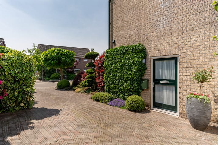 Foto 7 van De Mute 6