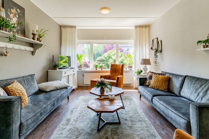 Foto 11 van De Mute 6