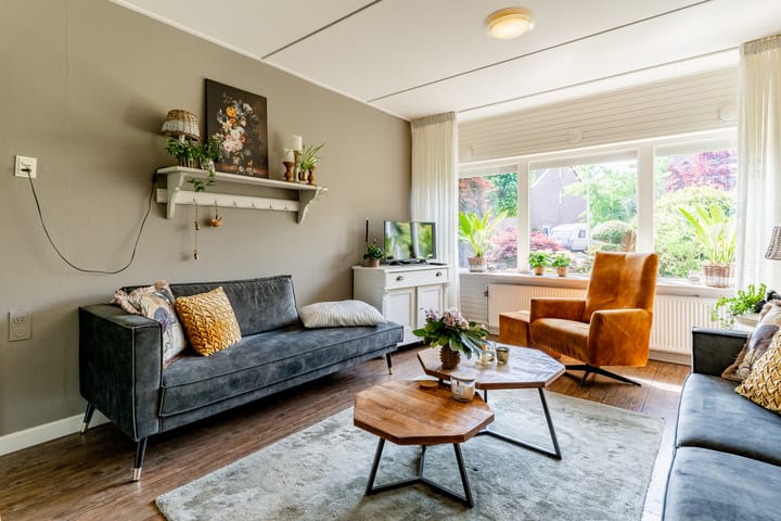 Foto 12 van De Mute 6