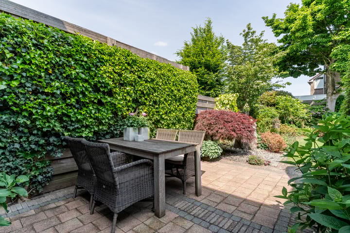 Foto 39 van De Mute 6