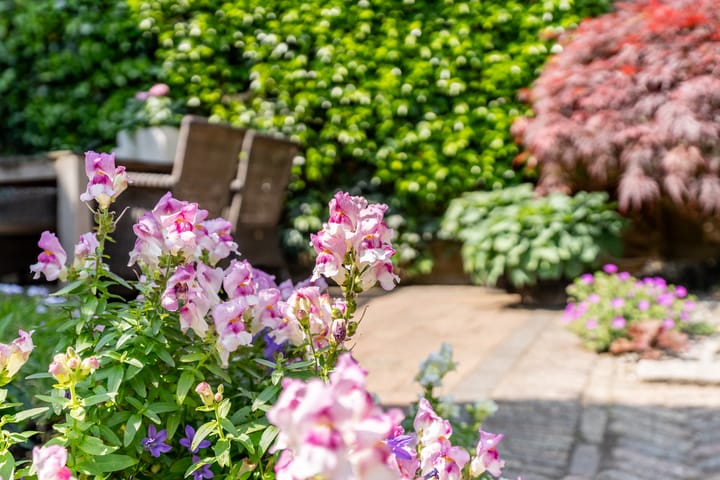 Foto 41 van De Mute 6