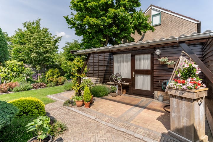 Foto 43 van De Mute 6