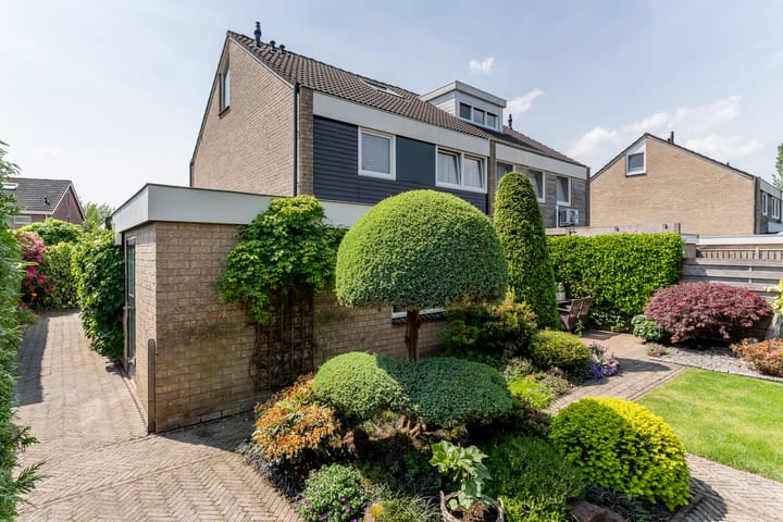 Foto 46 van De Mute 6