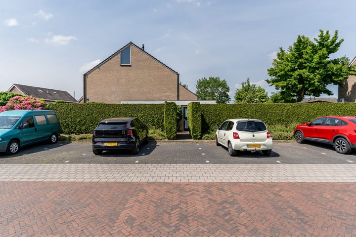 Foto 47 van De Mute 6