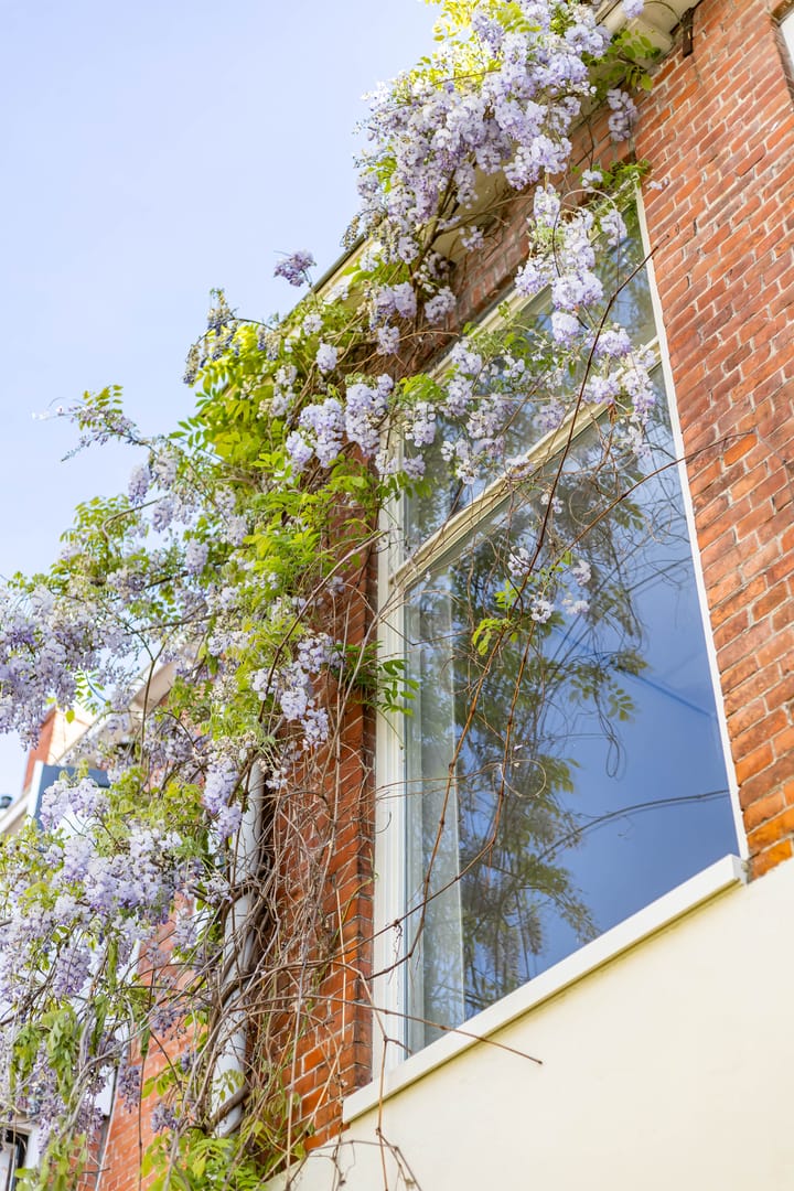 Foto 34 van Ganzevoortsingel 38