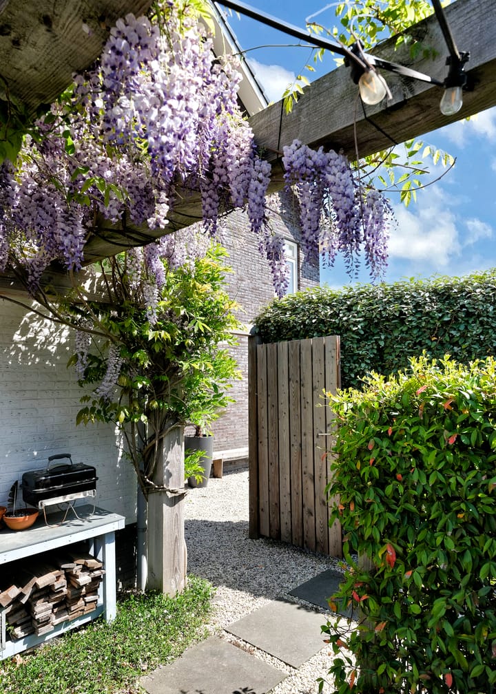 Foto 41 van Duizendbladweg 47