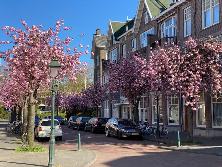 Foto 5 van Van Imhoffstraat 2-A