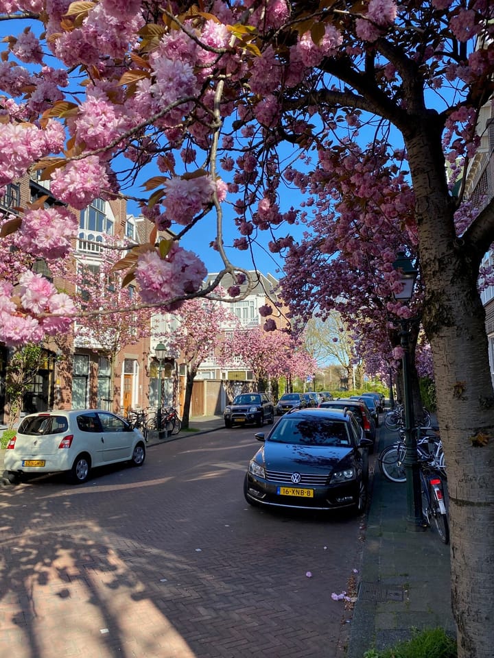 Foto 25 van Van Imhoffstraat 2-A