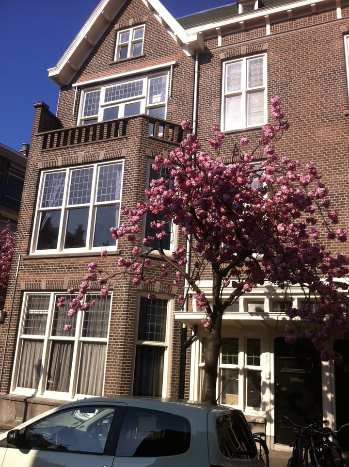 Foto 26 van Van Imhoffstraat 2-A