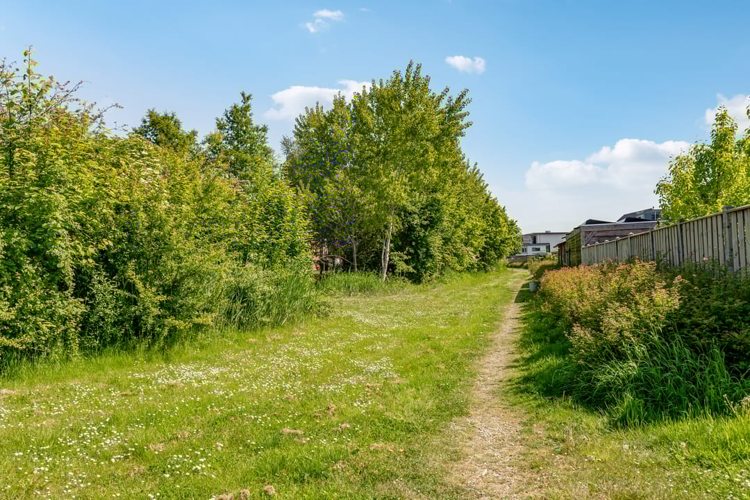 Foto 56 van Dick Bosstraat 61