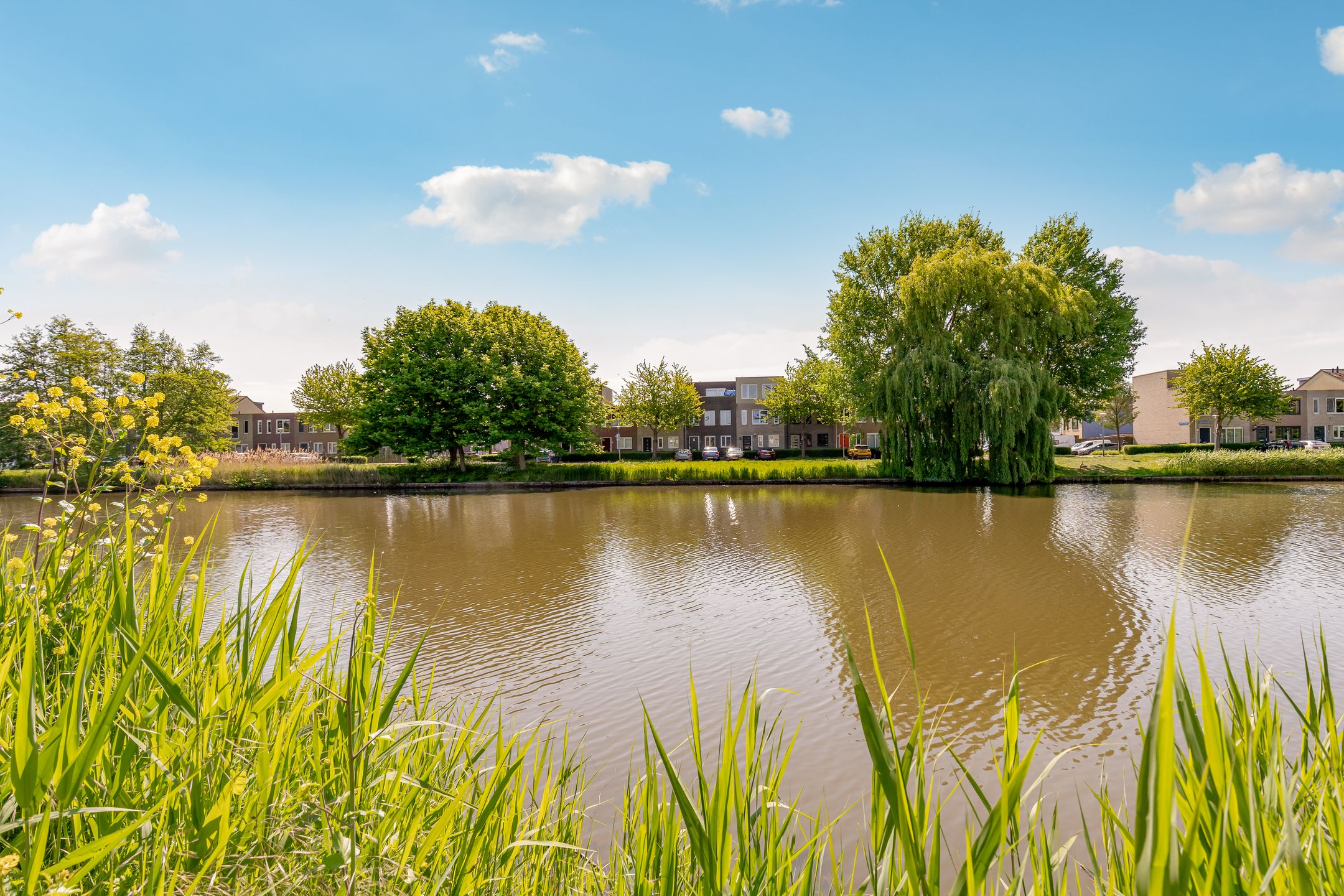 Foto 57 van Dick Bosstraat 61