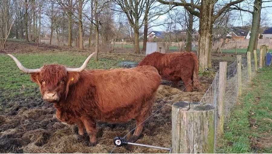 Foto 62 van Hoefsmederij 24