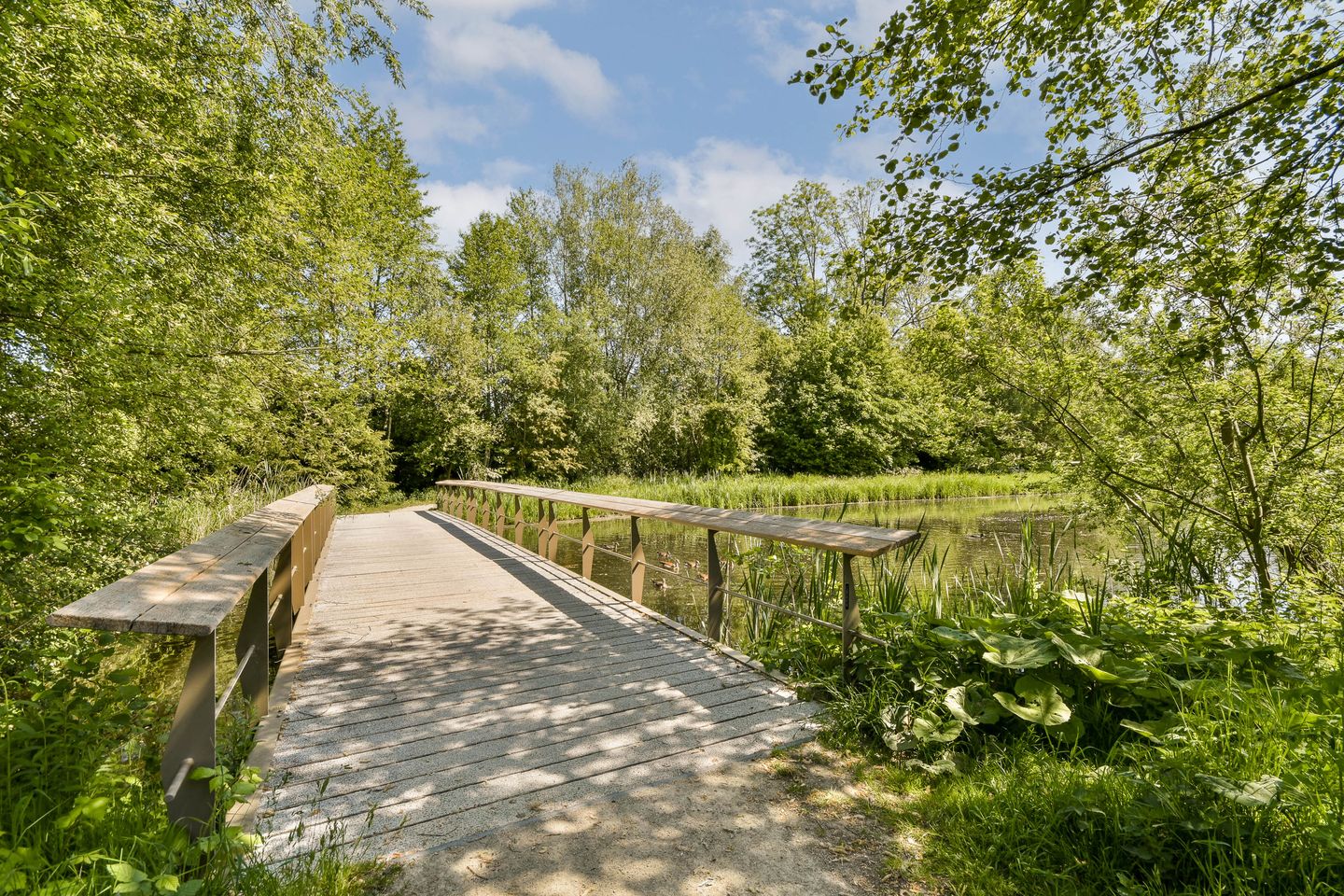 Foto 29 van Doornburg 115