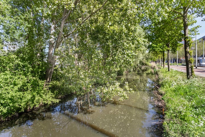 Foto 36 van Jan Evertsenstraat 585