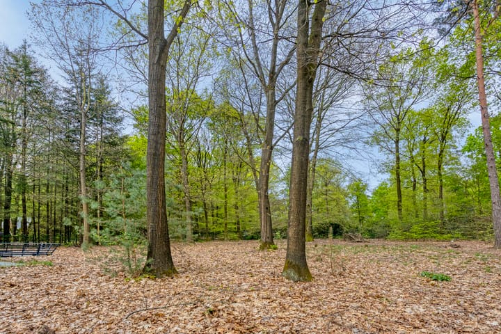 Foto 38 van Horalaan 74