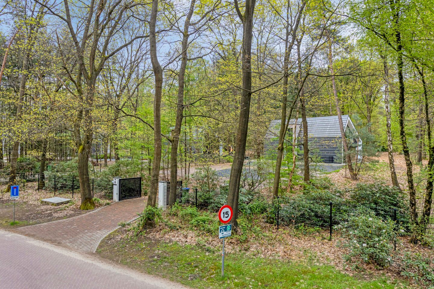 Photo 50 of Horalaan 74