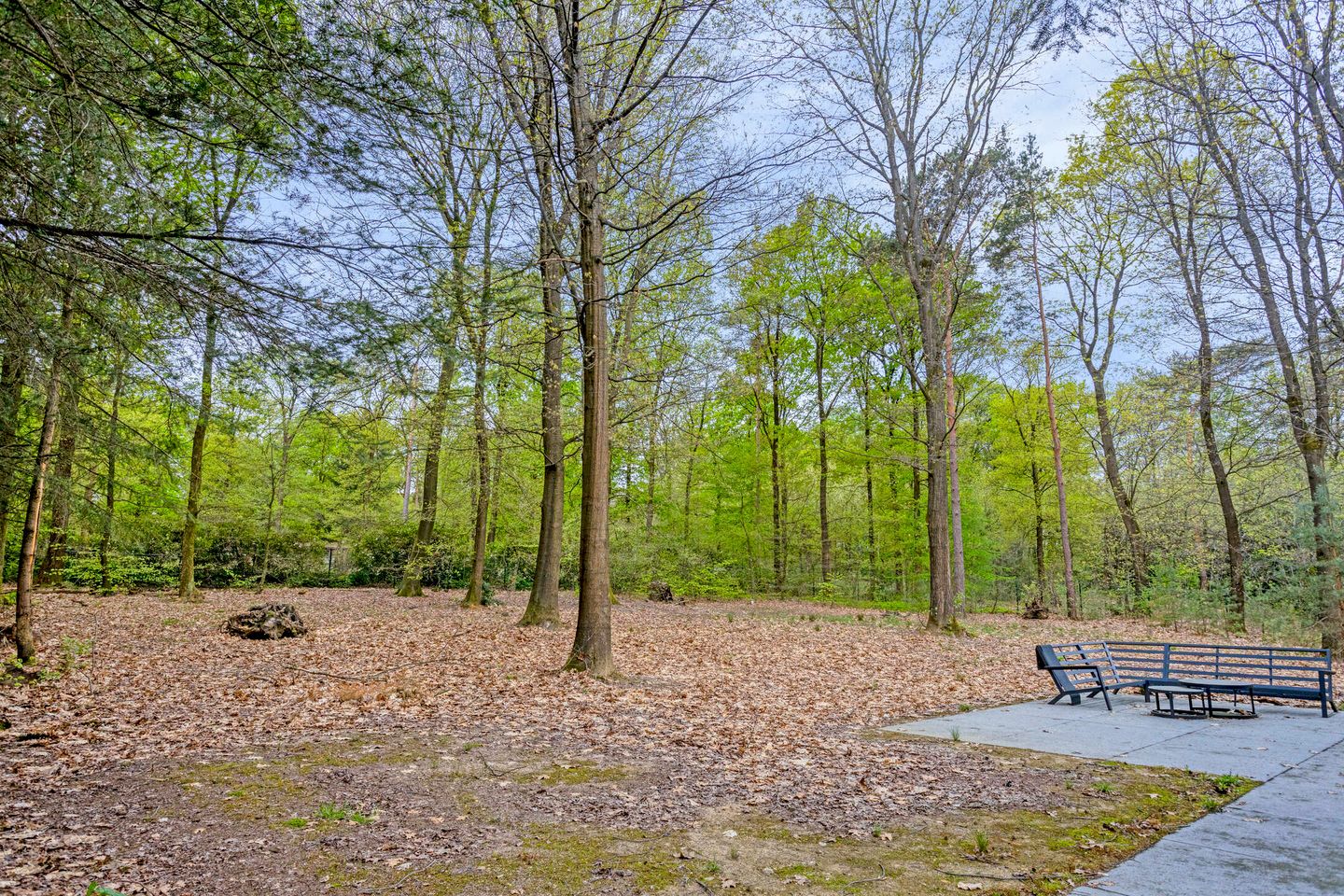 Photo 49 of Horalaan 74