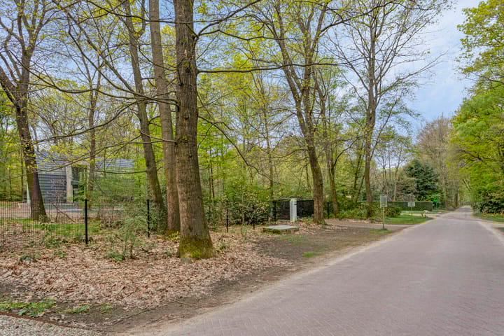 Foto 51 van Horalaan 74