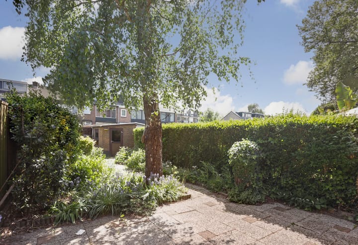 Foto 19 van Jan van Goyenpad 8