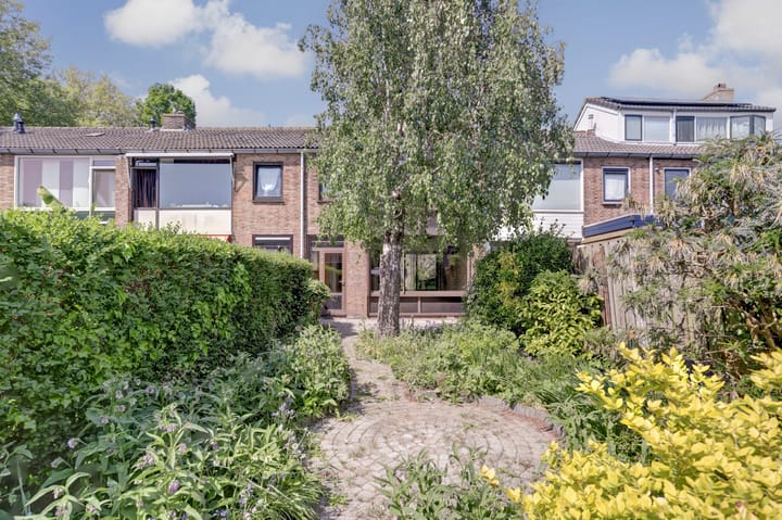 Foto 21 van Jan van Goyenpad 8