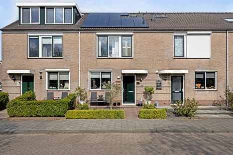 undefined main image