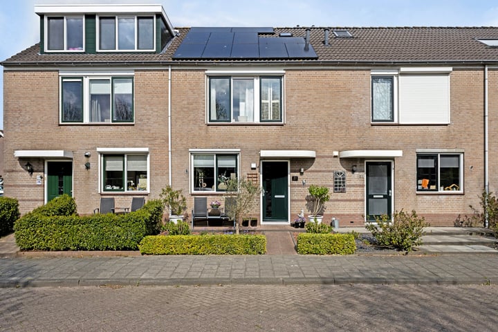 Watermunt 31