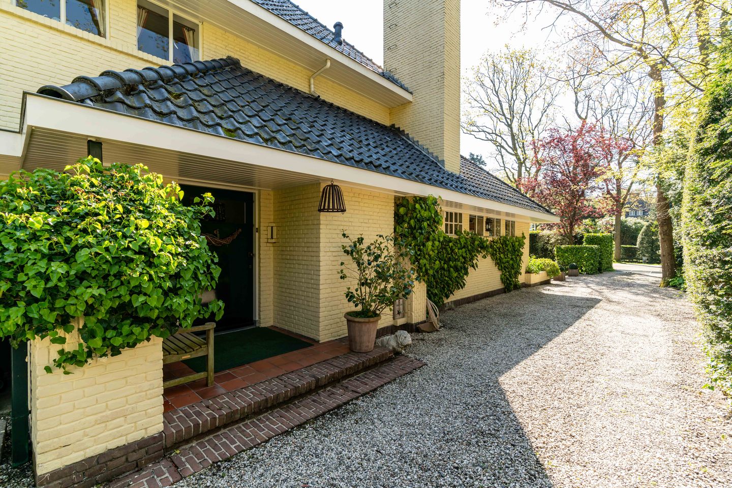 Photo 5 of Koekoekslaan 6