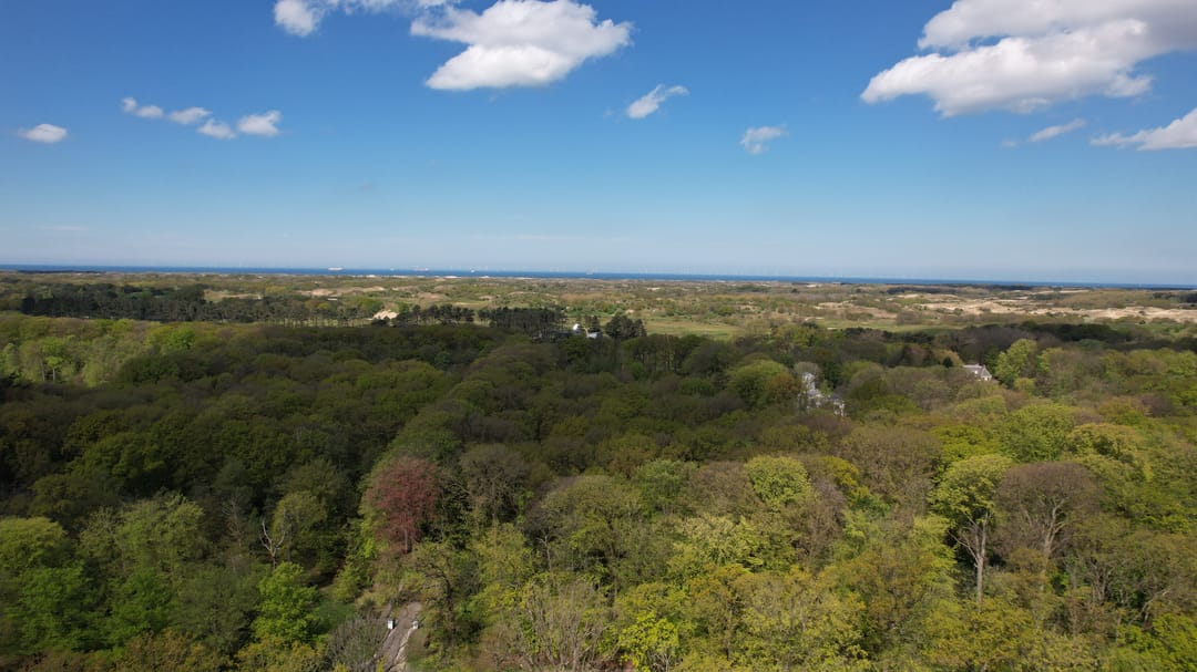 Photo 32 of Koekoekslaan 6