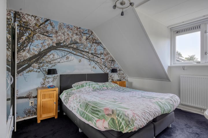 Foto 21 van Struikheidestraat 9