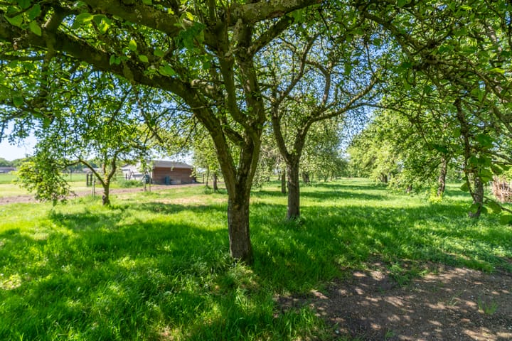 Foto 29 van Zandstraat 4