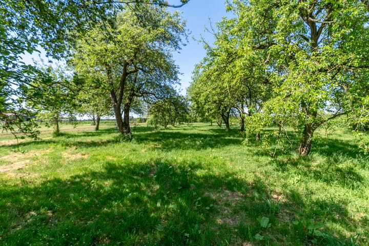 Foto 30 van Zandstraat 4