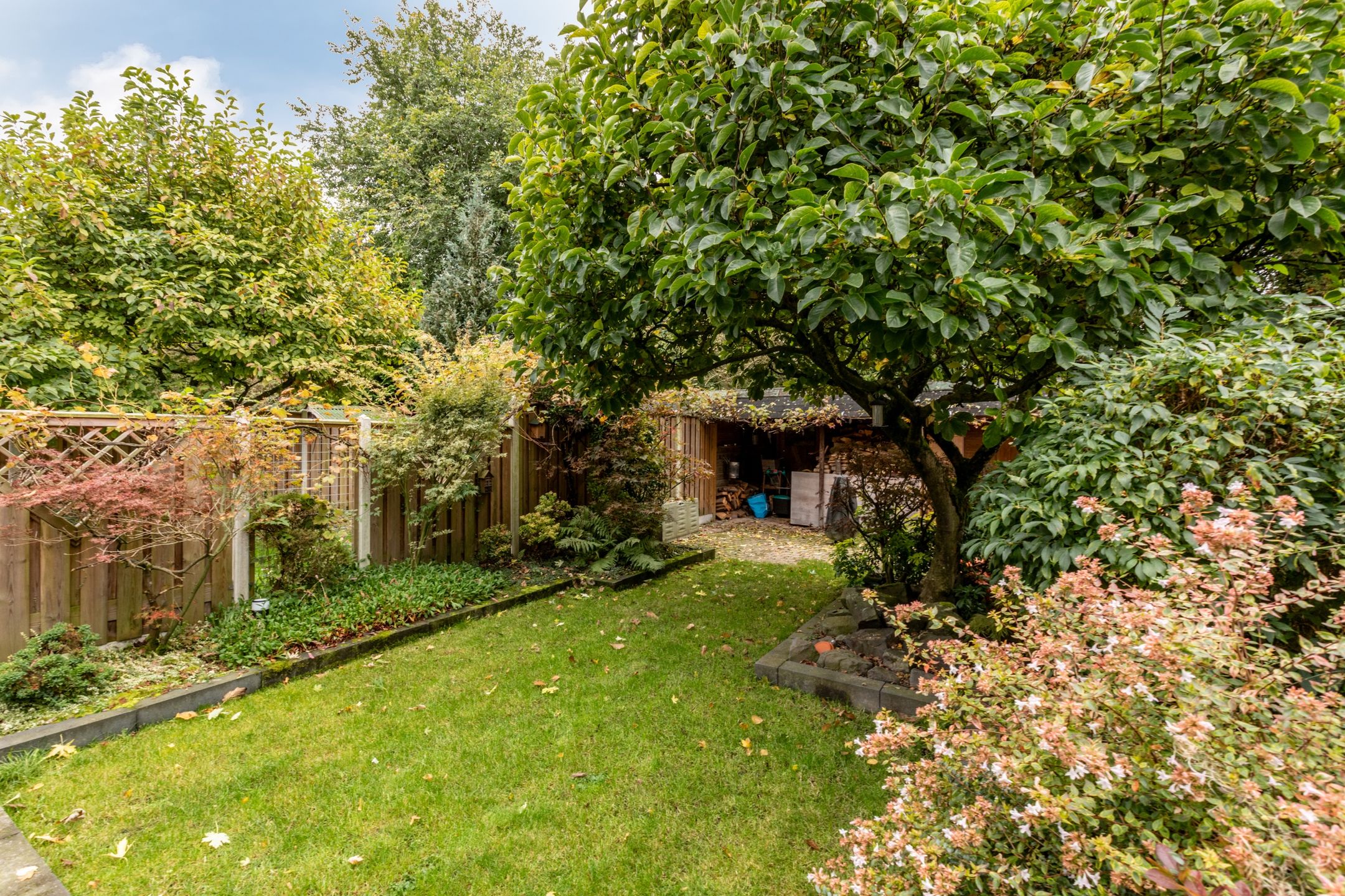 Foto 54 van Delta 18