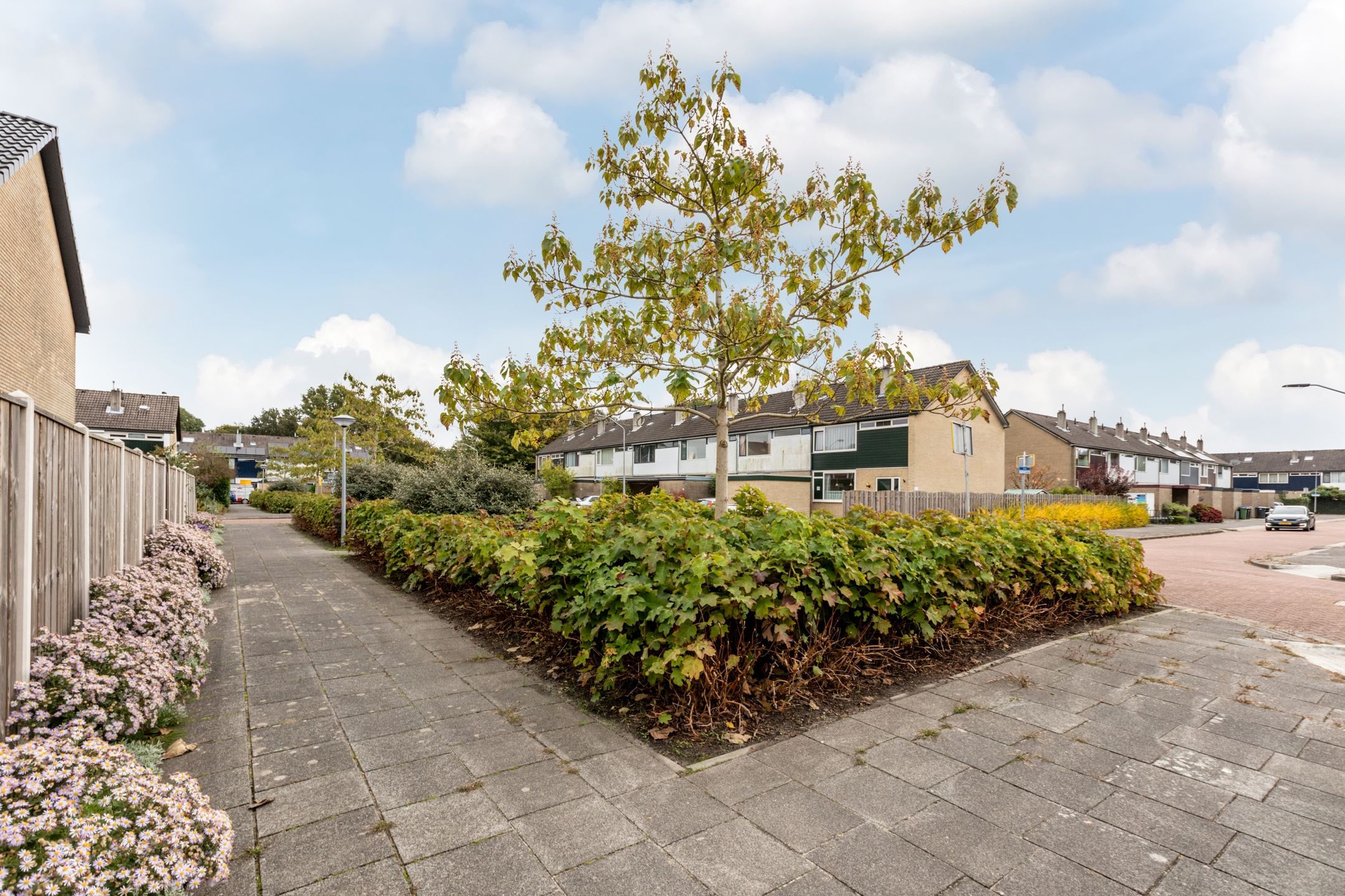 Foto 63 van Delta 18