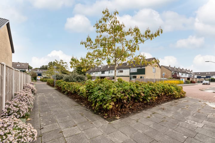 Foto 63 van Delta 18