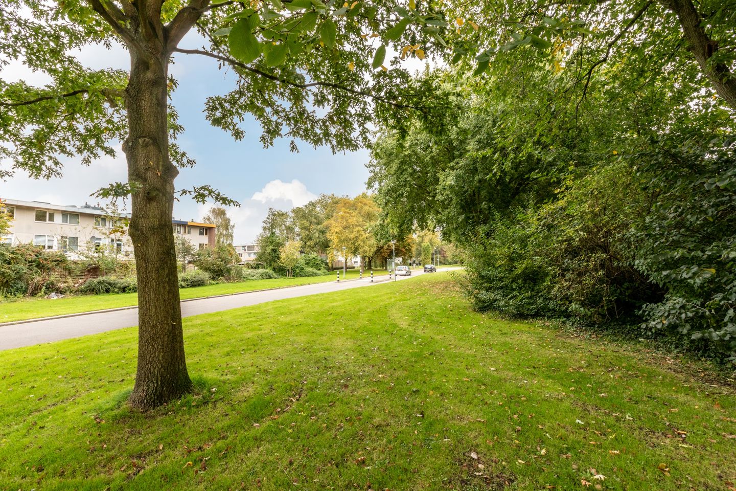 Foto 65 van Delta 18