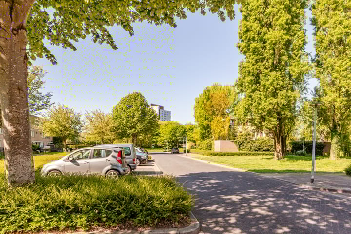 Photo 31 of Buñuellaan 48