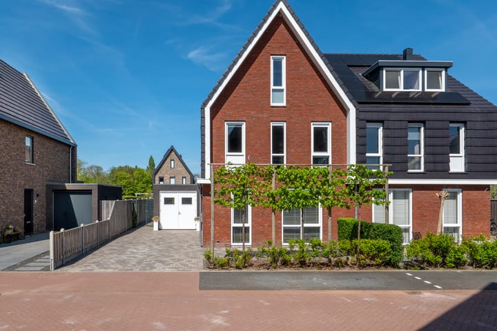 Foto 40 van Haring 4